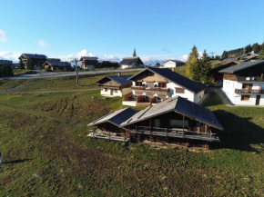 Chalet Savoyard 6 Ch - 11 Pers - Pistes des Saisies - Sauna - Cosy et Authentique - FR-1-293-54